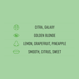 EXCELSIUS 5.0% DRY HOPPED PALE (1x500ml)