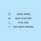 SILVER KING 4.3% AMERICAN PALE (1x500ml)