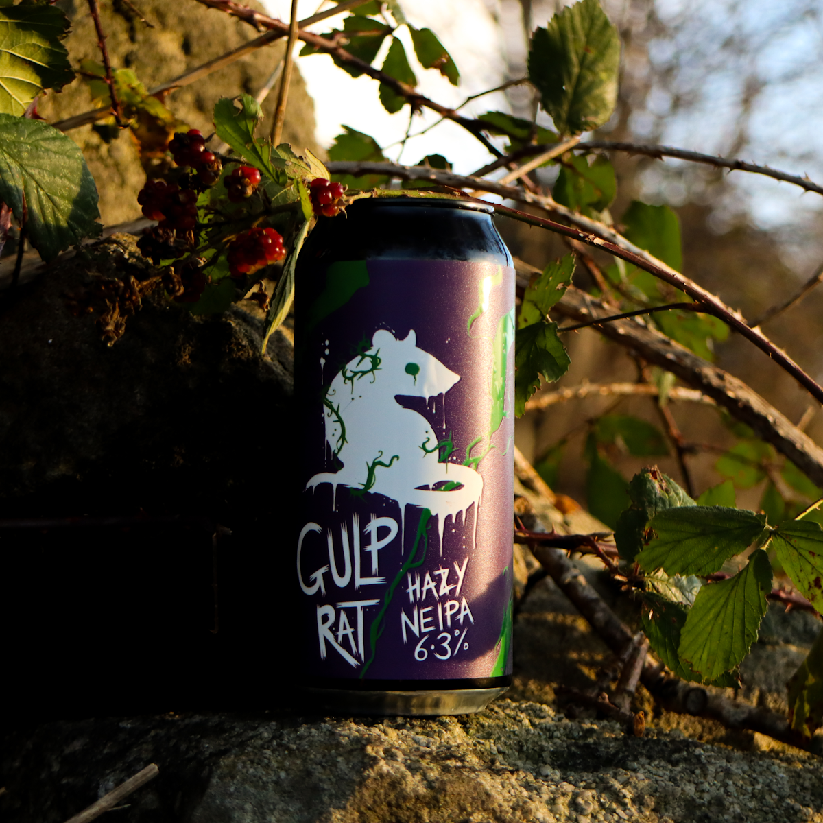 GULP RAT 6.3% HAZY NEIPA (1x440ml)