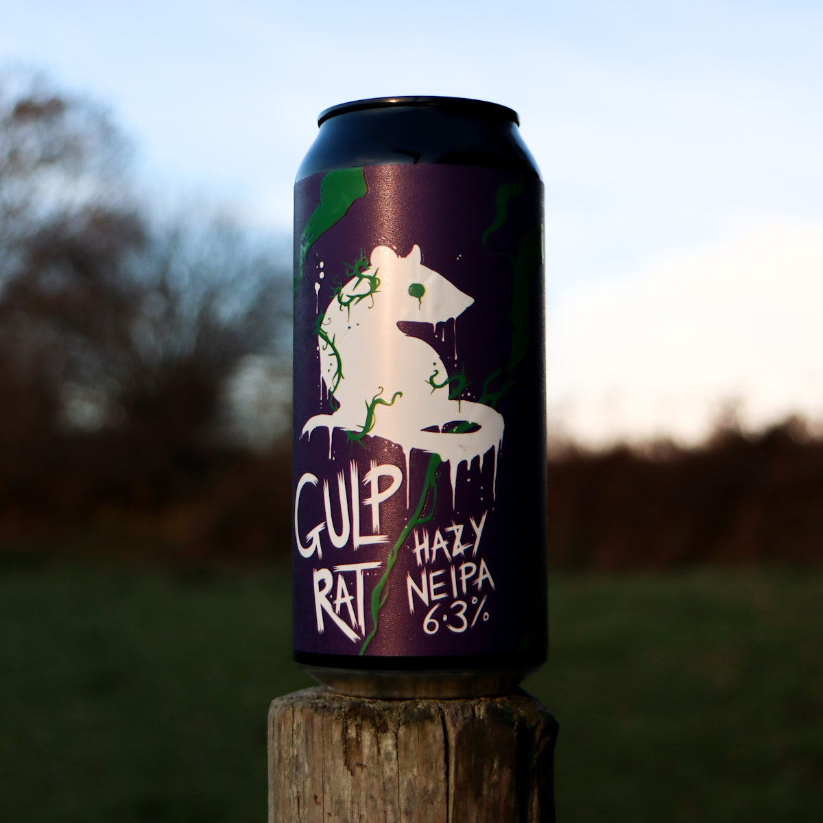 GULP RAT 6.3% HAZY NEIPA (12x440ml)