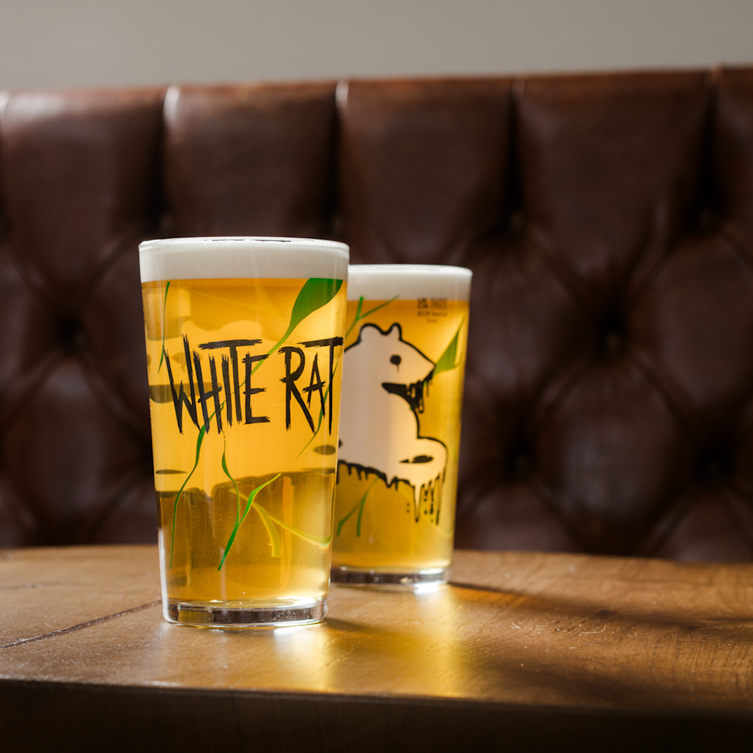 White Rat | Ossett's Best-Selling Beer | Cask Ale – Ossett Brewery